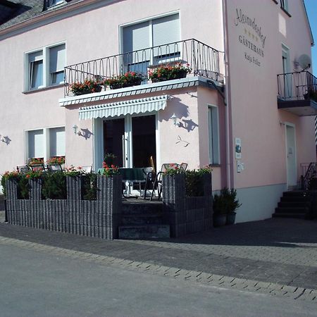 Gaestehaus Alexanderhof Leiwen Exterior photo